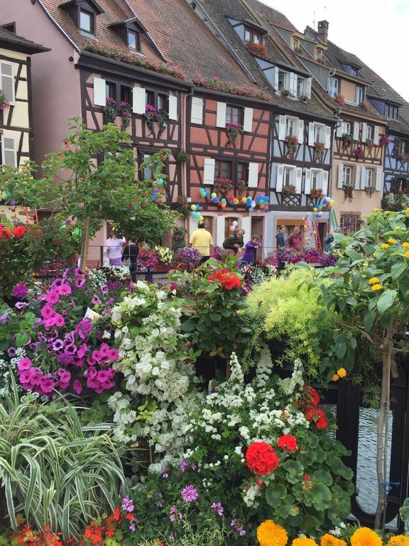 Les Appartements De Home Petite Venise Colmar Exteriör bild