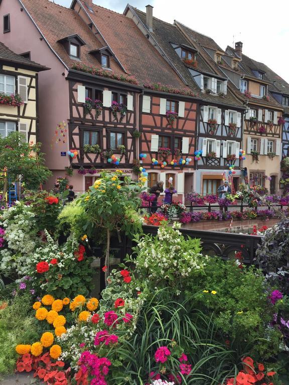 Les Appartements De Home Petite Venise Colmar Exteriör bild