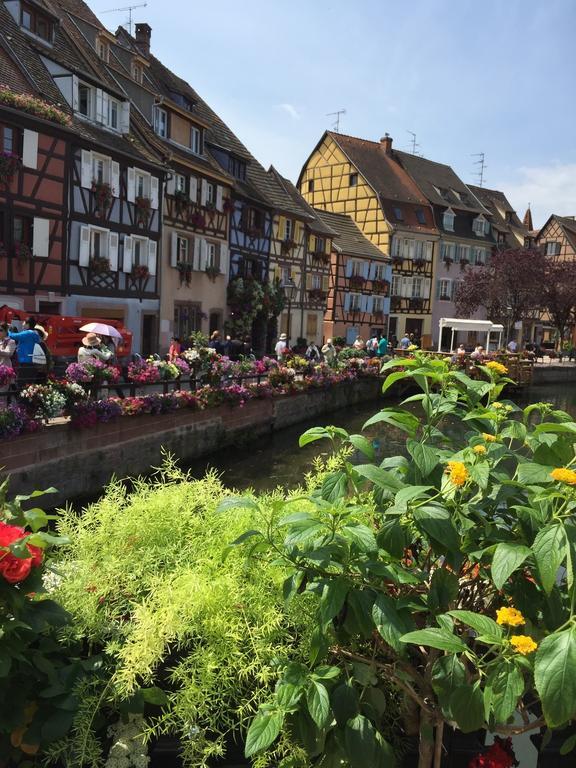 Les Appartements De Home Petite Venise Colmar Exteriör bild