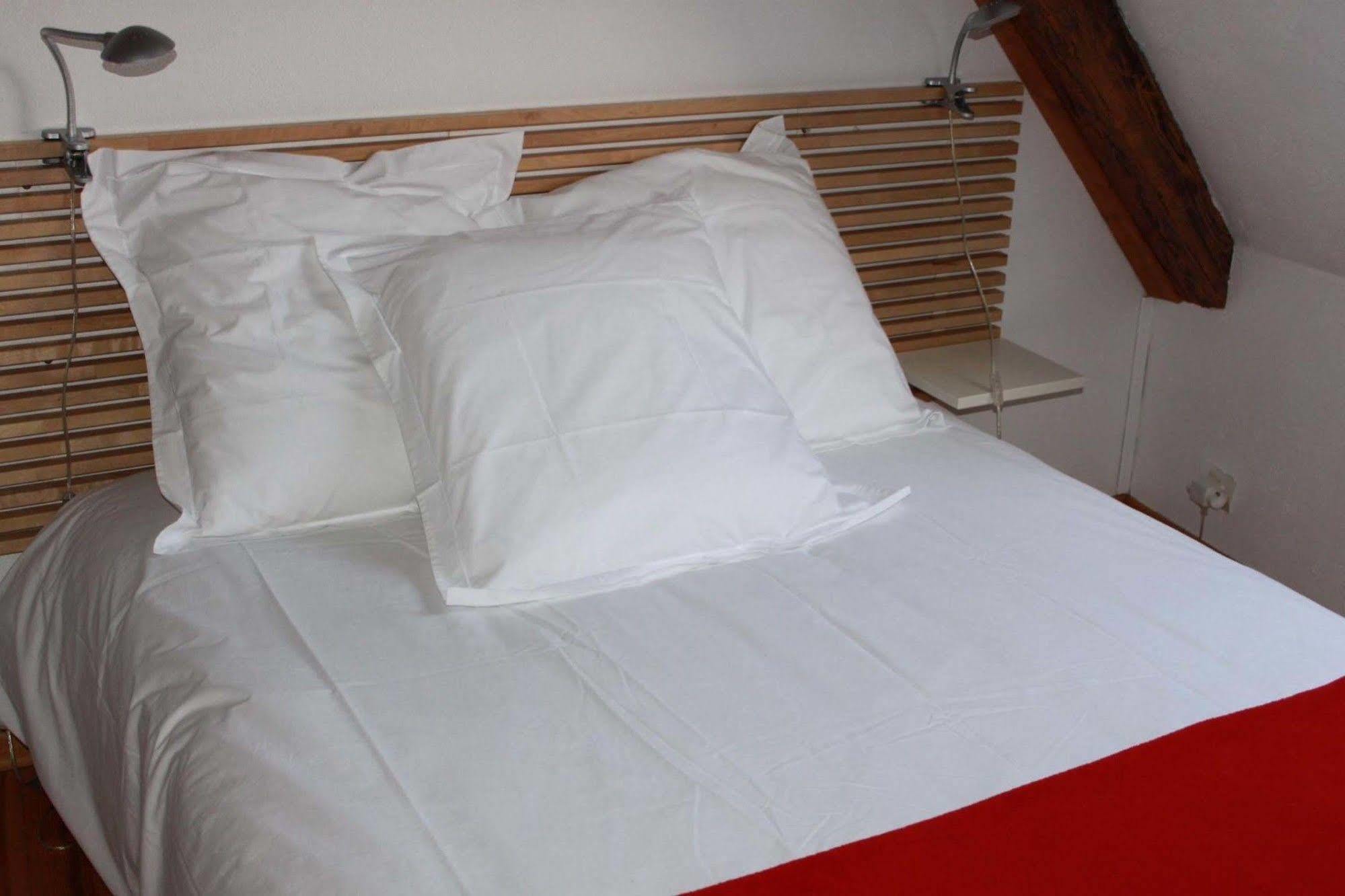 Les Appartements De Home Petite Venise Colmar Exteriör bild