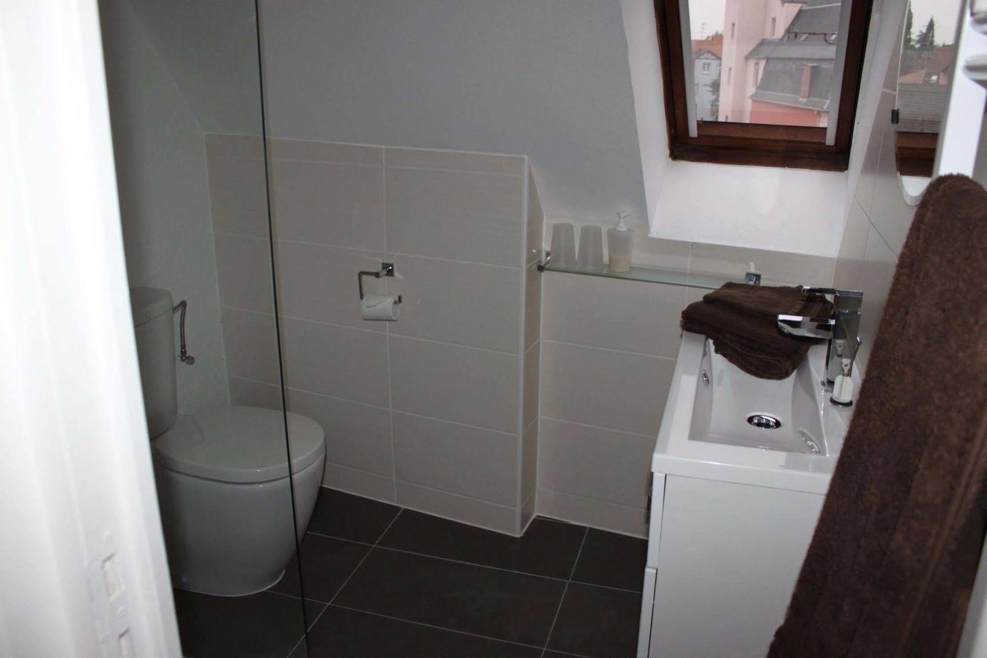Les Appartements De Home Petite Venise Colmar Exteriör bild