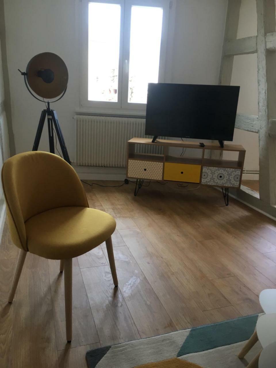 Les Appartements De Home Petite Venise Colmar Exteriör bild